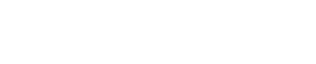Partner 6